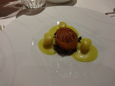 salmon