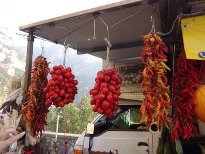 tomatoes