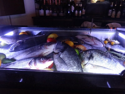 fish