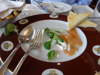 salmon
