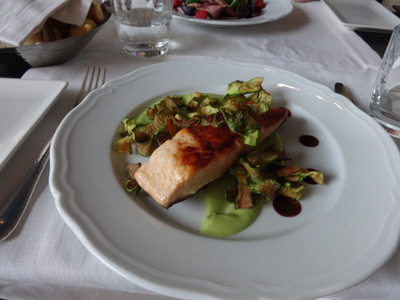 salmon