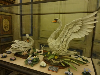 swan