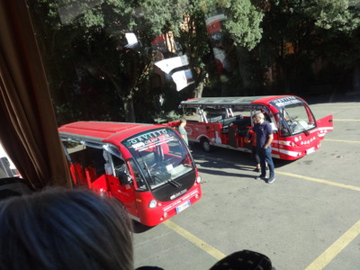 red buses