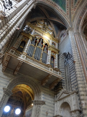 organ