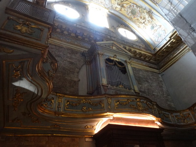 organ