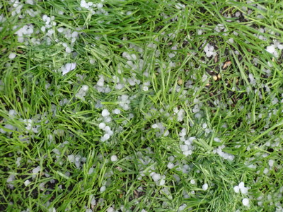 hail