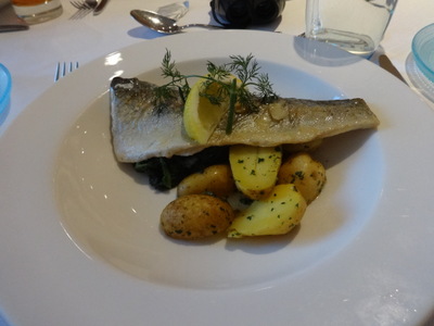 trout