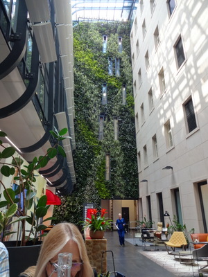 plants