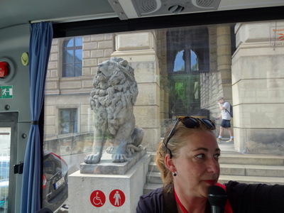 lion
