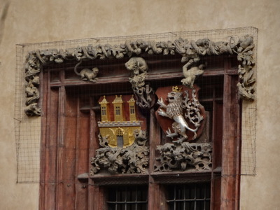 lion