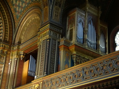 organ