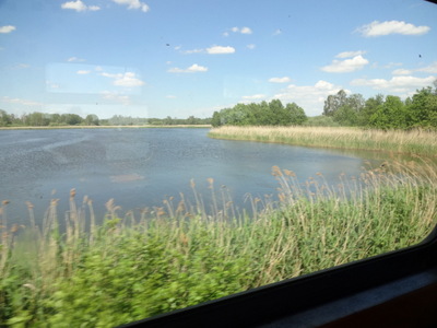 pond