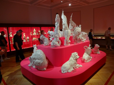 animals