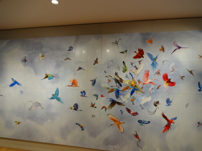 birds