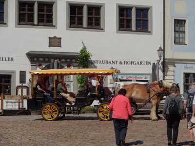 horse