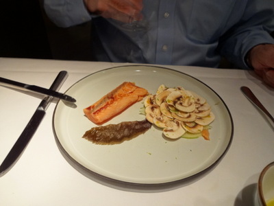 salmon