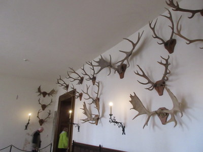 horn room