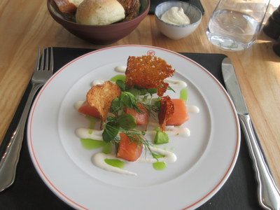 salmon