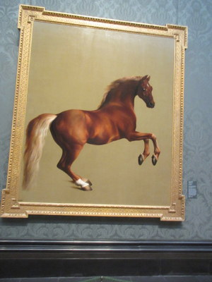 Whistlejacket