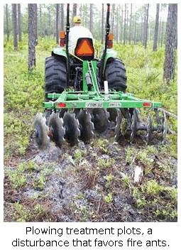 Plowing treatment plots, a 
