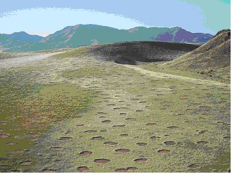 Fairy circles in the Namib Desert of Namibia. 